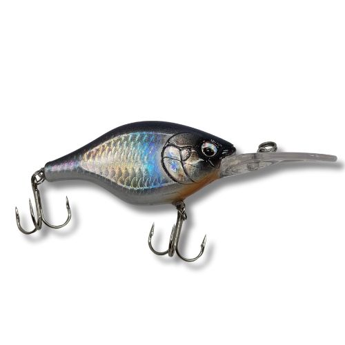 Holographic Shad