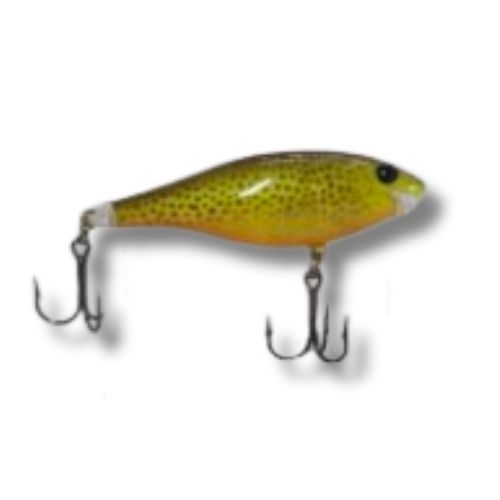 Shady Shad